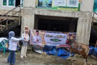 Penyerahan hewan kurban dari Alimudin Kolatlena di Jalan Baru, Kecamatan Sirimau, Kota Ambon.