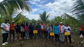 DPD PKS Kabupaten Seram Bagian Timur menggelar panen dan tanam raya di Kecamatan Werinama, Sabtu (16/5/2026). Kegiatan ini merupakan rangkaian perayaan Milad ke-24 PKS yang puncaknya pada Minggu, 17 Mei 2026, besok. Foto: Istimewa 