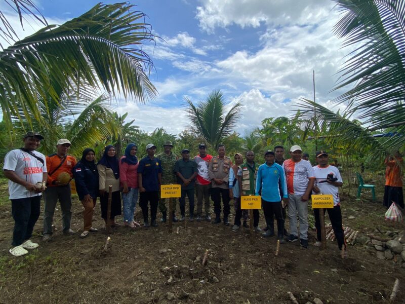 DPD PKS Kabupaten Seram Bagian Timur menggelar panen dan tanam raya di Kecamatan Werinama, Sabtu (16/5/2026). Kegiatan ini merupakan rangkaian perayaan Milad ke-24 PKS yang puncaknya pada Minggu, 17 Mei 2026, besok. Foto: Istimewa 