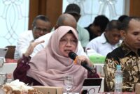 Anggota Panitia Khusus (Pansus) RUU tentang Daerah Kepulauan DPR RI, Anis Byarwati, dalam Kunjungan Kerja Pansus RUU Daerah Kepulauan DPR RI di Kantor Gubernur Provinsi Maluku. (foto: Istimewa)
