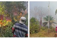 Kebakaran perkebunan cengkeh di Asilulu, Kecamatan Leihitu Barat, dan pohon kelapa di Layeni, Kecamatan Teon Nila Serua, Kabupaten Maluku Tengah. (Foto : Istimewa)