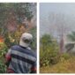 Kebakaran perkebunan cengkeh di Asilulu, Kecamatan Leihitu Barat, dan pohon kelapa di Layeni, Kecamatan Teon Nila Serua, Kabupaten Maluku Tengah. (Foto : Istimewa)