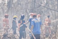 Persnonel Dinas Pemadam Kebakaran dan Penyelamatan Kabupaten Seram Bagian Timur, berjibaku memadamkan api di sejumlah wilayah di Kota Bula sejak Jumat (31/7/2026) hingga Sabtu (1/8/2026). (Foto: Dok. Damkar SBT/HEADLINETIMUR.COM)).